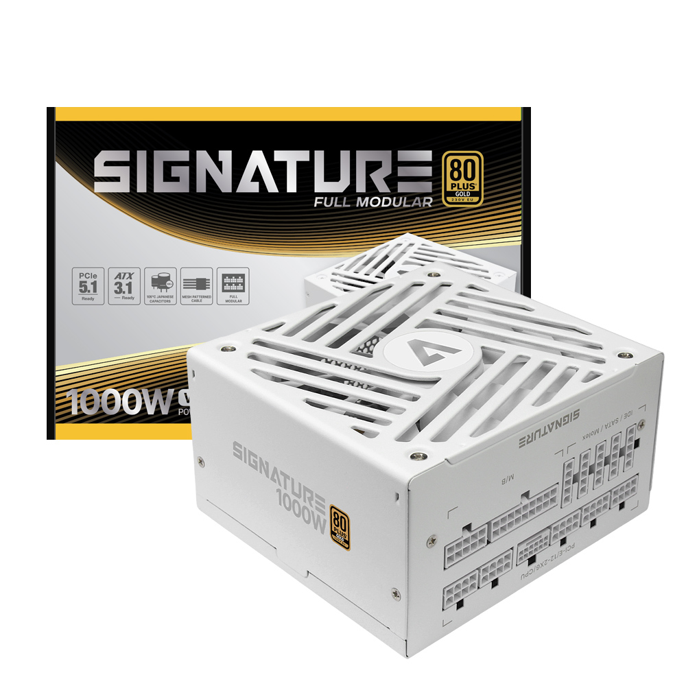 시그니처 1000W Gold 화이트