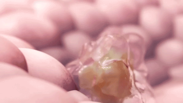 collagen_booster_serum_12.gif