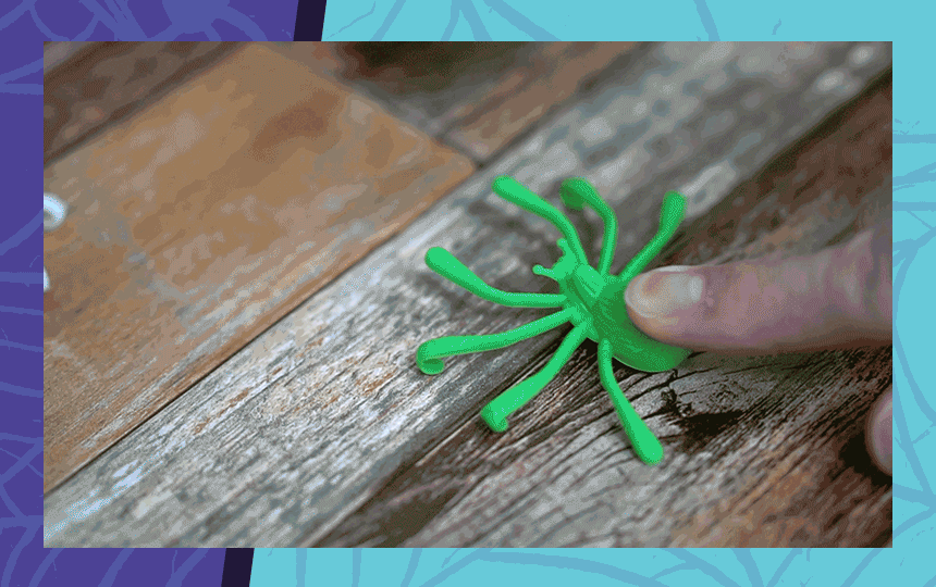 스파이더 팡팡 02 (GIF)