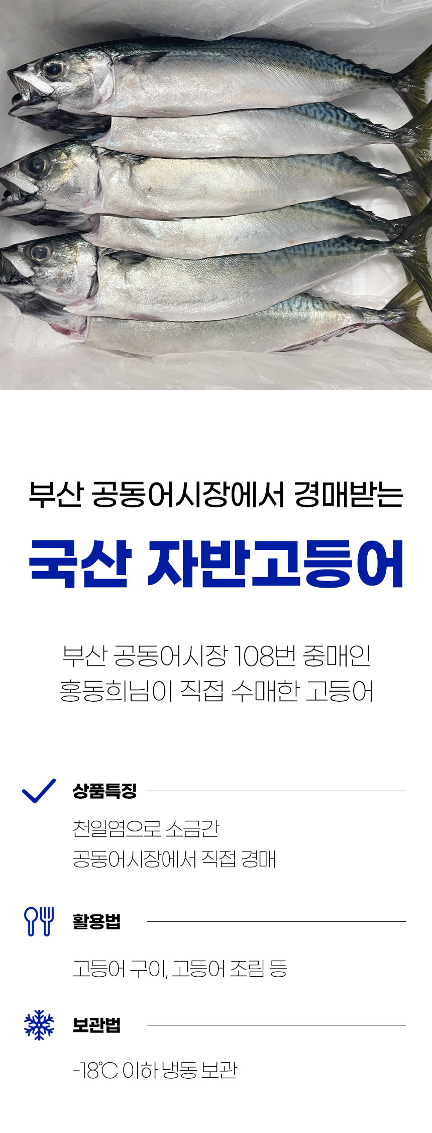 국내산 자반고등어 고등어 20마리 업소용 도매 벌크