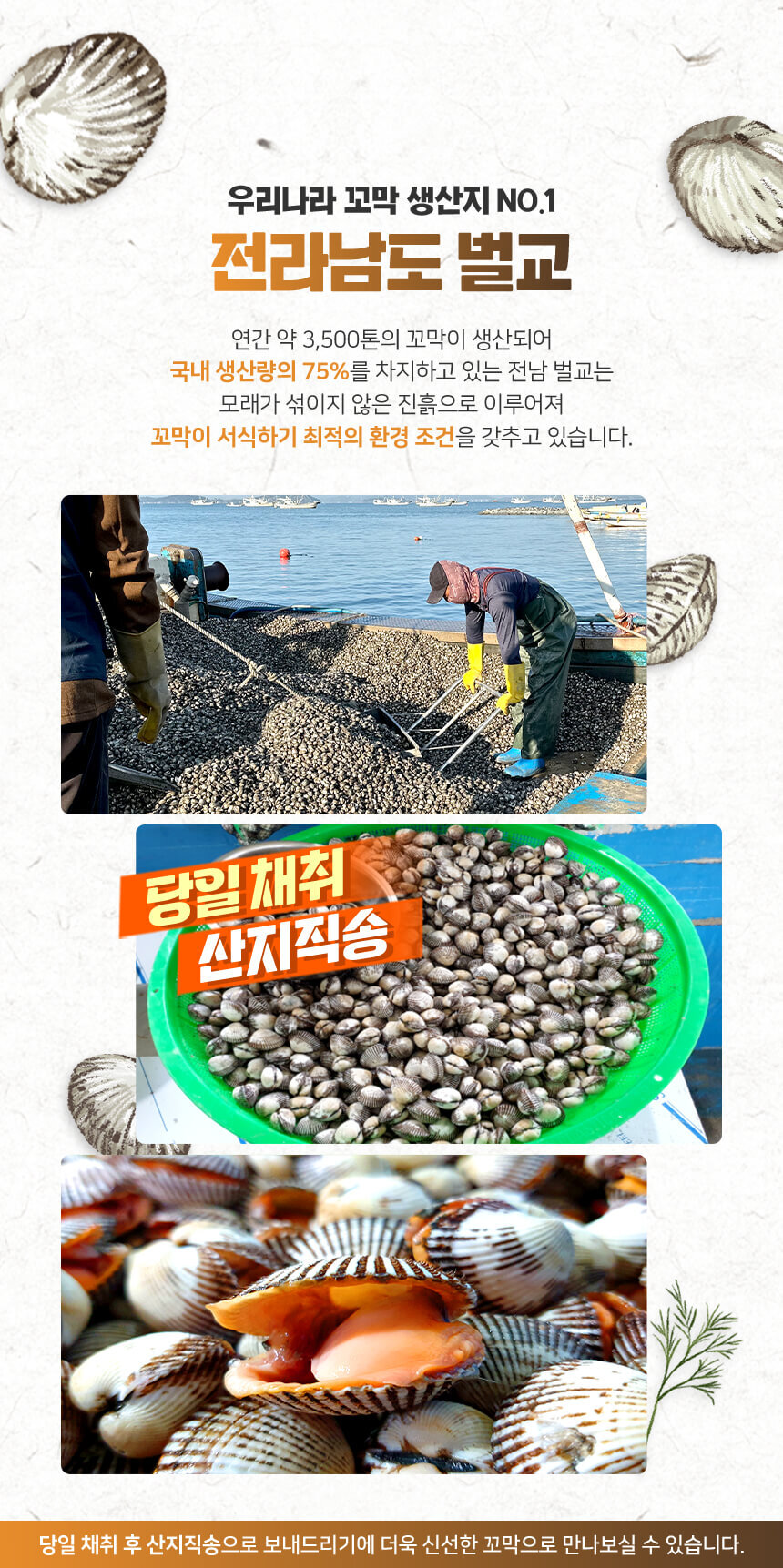 바로푸드 새꼬막