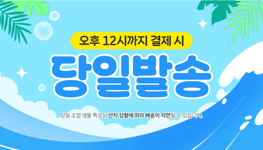 가리맛조개