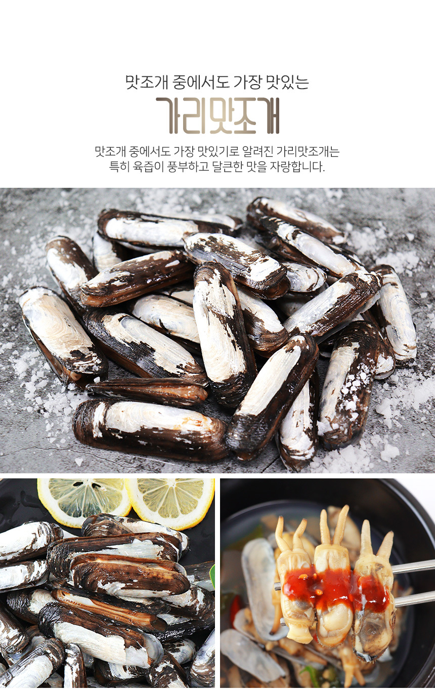 가리맛조개