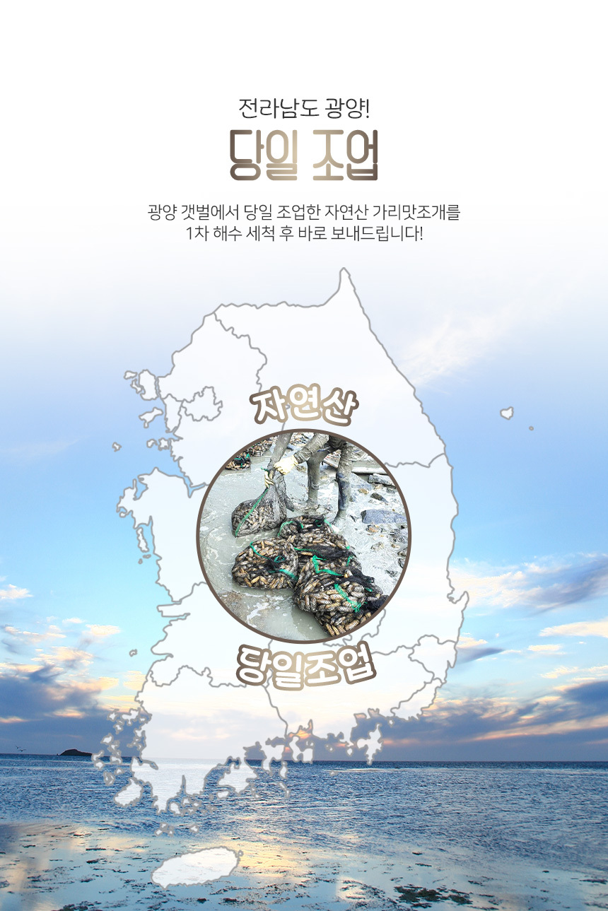 가리맛조개
