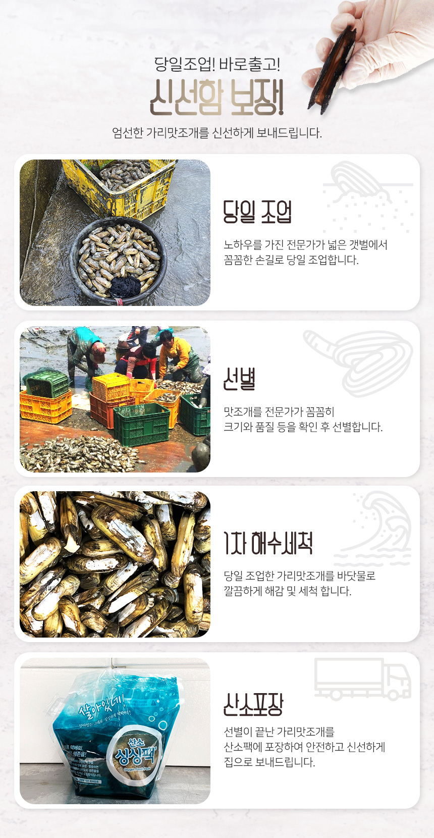 가리맛조개