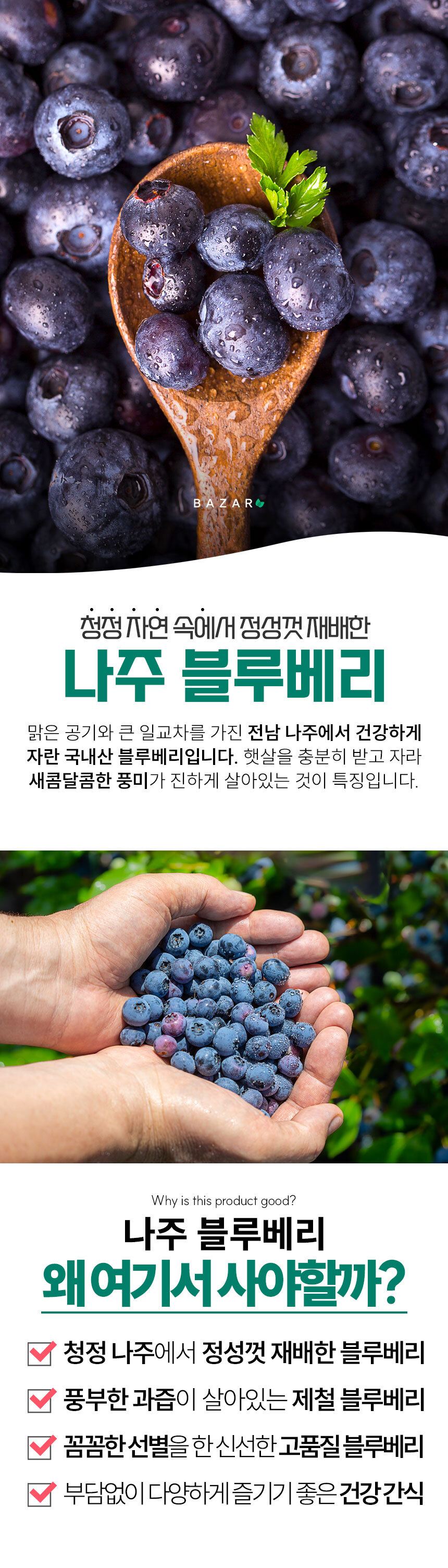 (바잘농산물) 세계 10대 슈퍼푸드 생 블루베리 300g 500g 1kg [BZN]