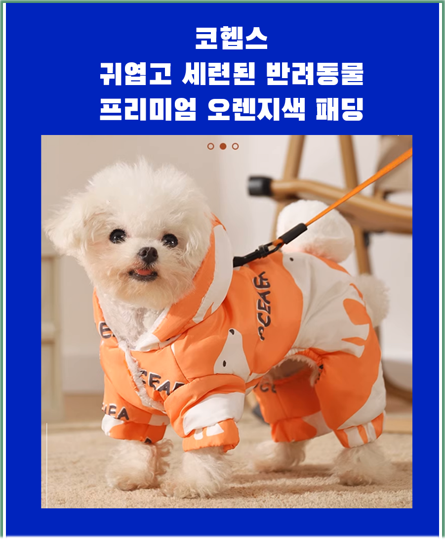 KakaoTalk_20251105_100258460.png