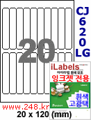 아이라벨 CJ620LG (20칸) [100매] iLabels