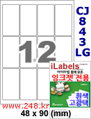 아이라벨 CJ843LG (12칸) [100매] iLabels