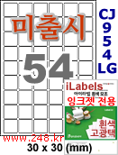 아이라벨 CJ954LG