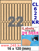 아이라벨 CL622KR (22칸) 흰색  광택 [100매] iLabels