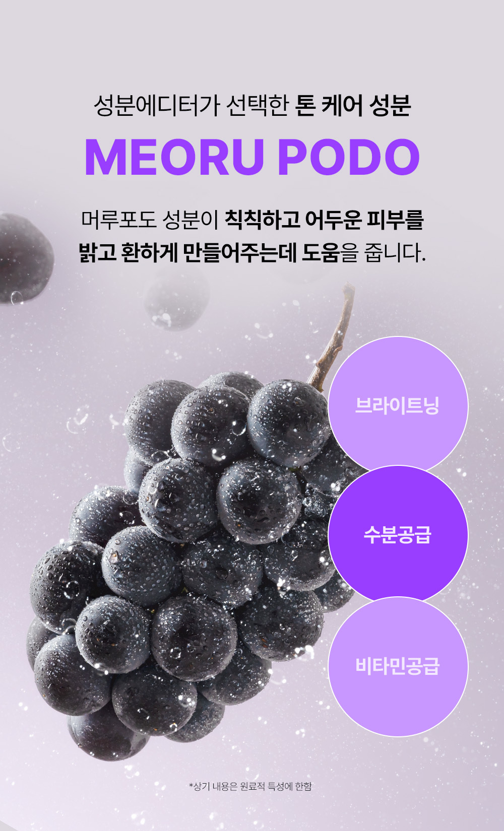 masque modelant raisin sauvage coréen