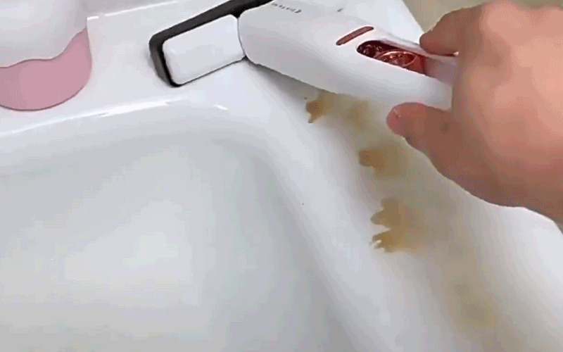 00_01_gif.gif