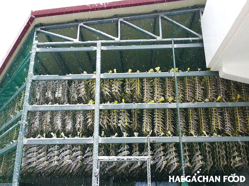상세102