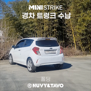 mini_car_in.gif