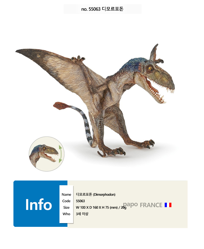 파포]PAPO 디모르포돈 장난감 피규어