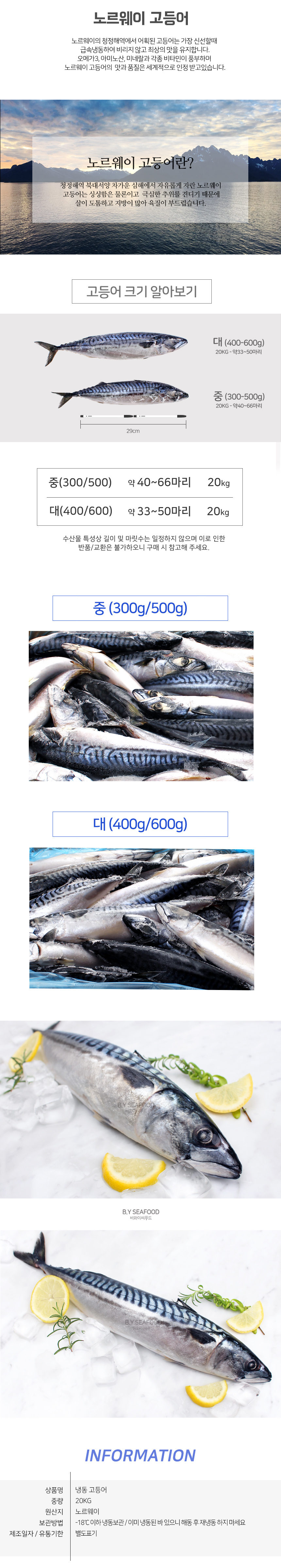 도매 선상 냉동 노르웨이 고등어 20KG 대 400 600 손질고등어 자반고등어 맛있는고등어 고등어조림 조림고등어 생물고등어 등푸른생선 고등어구이 고등어선물 구이용고등어 조림용고등어