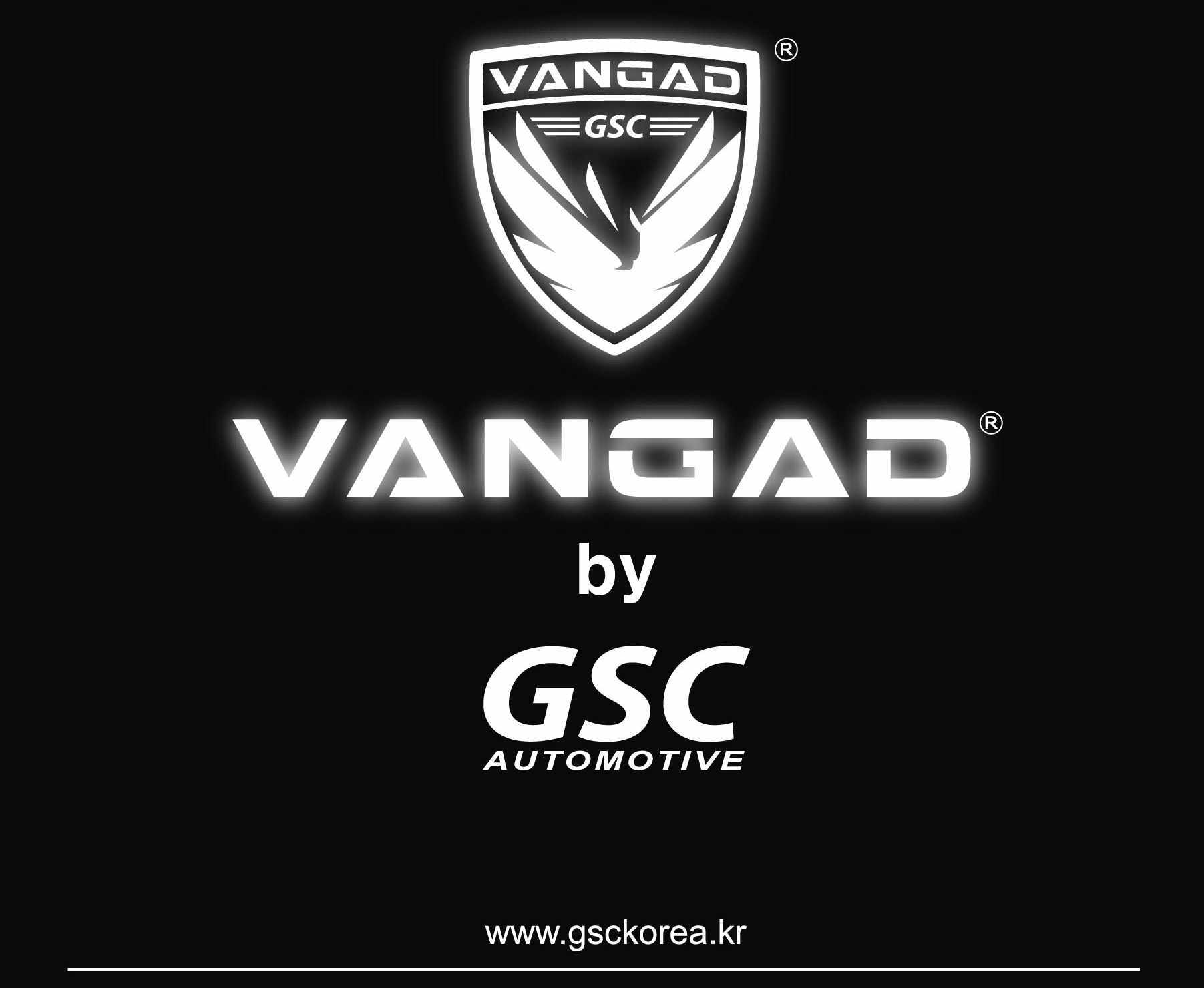 VANGAD 디올뉴 팰리세이드LX3 사이드스텝 자동차 옆발판 보조발판 튜닝