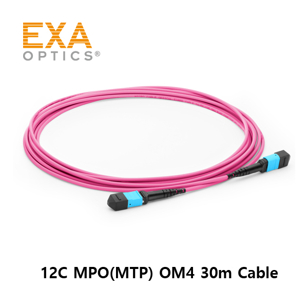 [EXA] 12C MPO(MTP) OM4 30M 光ファイバ ケーブル