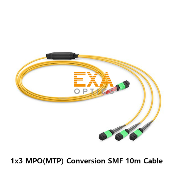 [EXA] 24C MPO-3*12C MPO SMF 10M 光ファイバ ケーブル