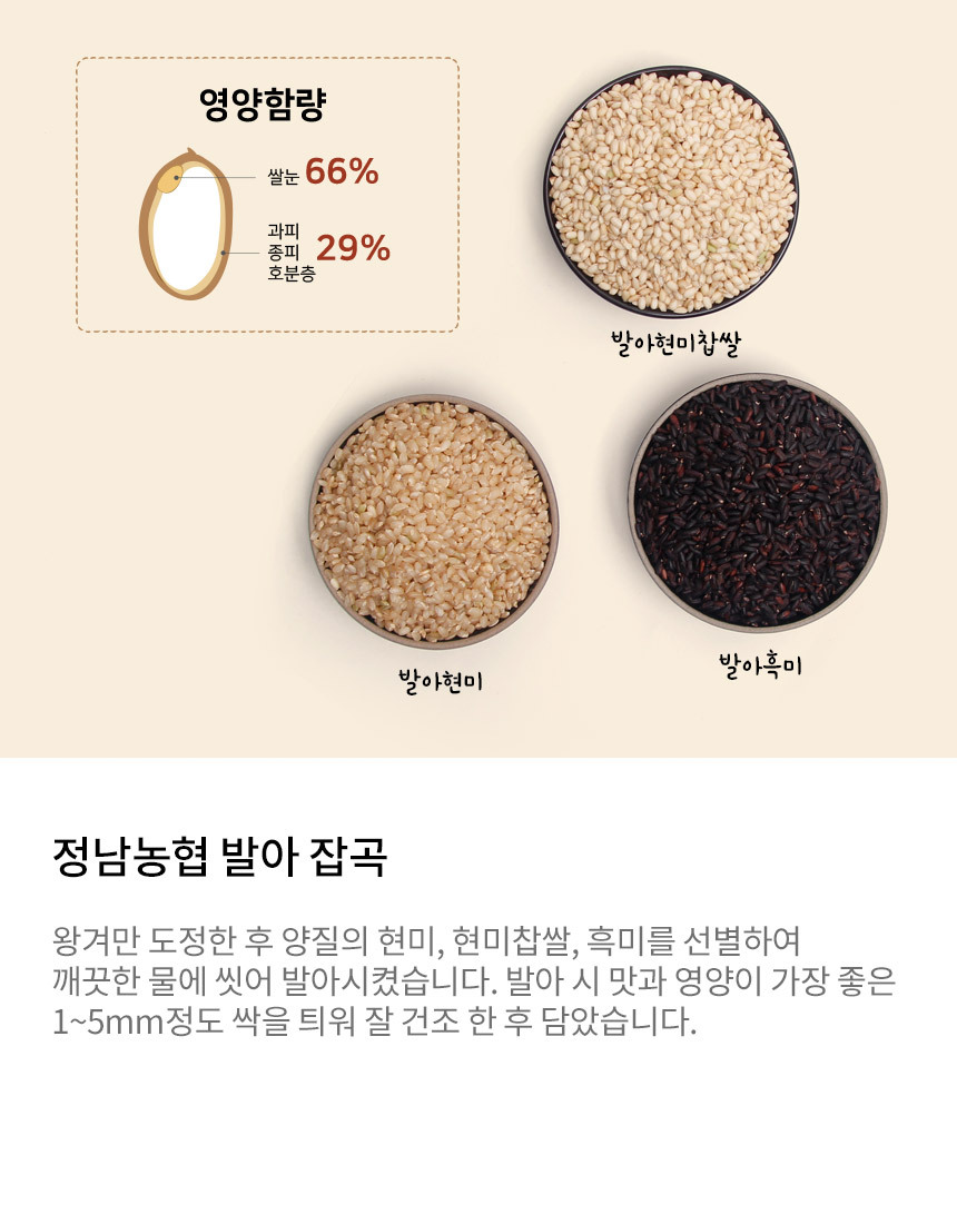 정남농협 발아잡곡은 양질의 현미, 현미찹쌀, 흑미를 발아시켜 만듭니다