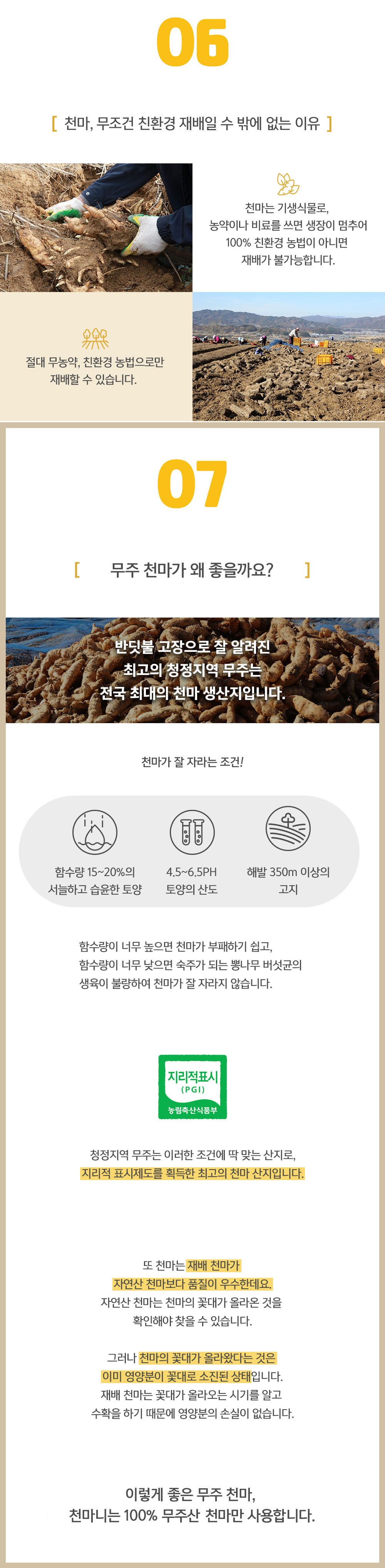 텐바이텐/발효 천마고 명품골드 상세 이미지 6