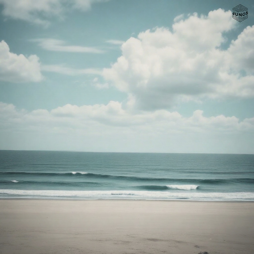 감각의 연대v1 앨범 아트