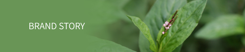 크린앤솝 브랜드스토리