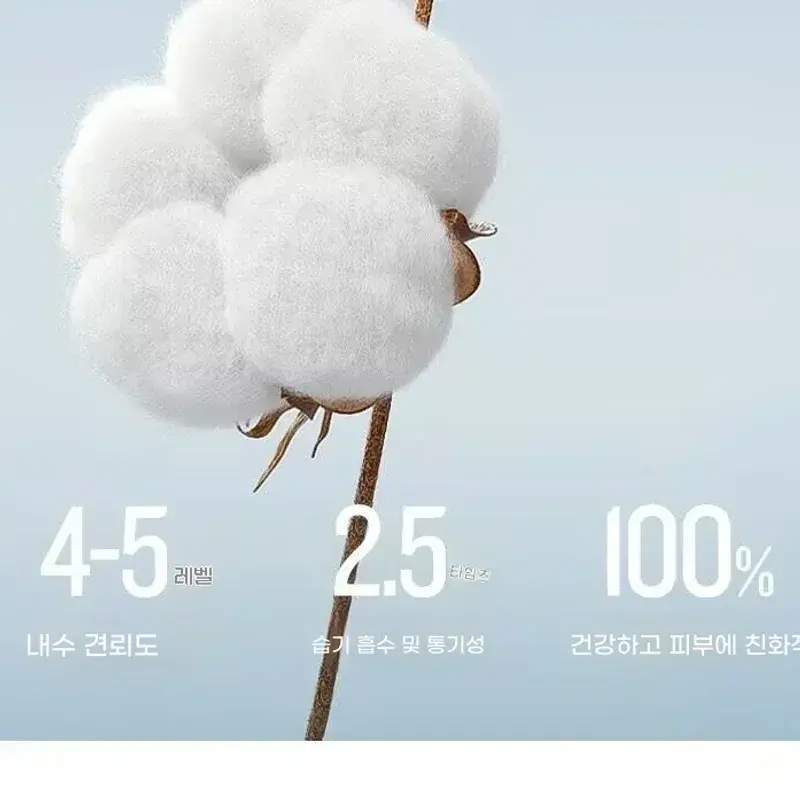 %E5%A4%A7%E5%9B%BE_3.png