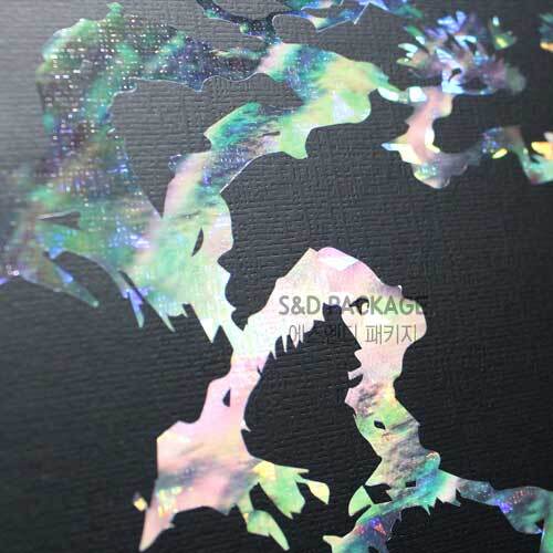 ���� ���� �������Թڽ� �ڰ�1