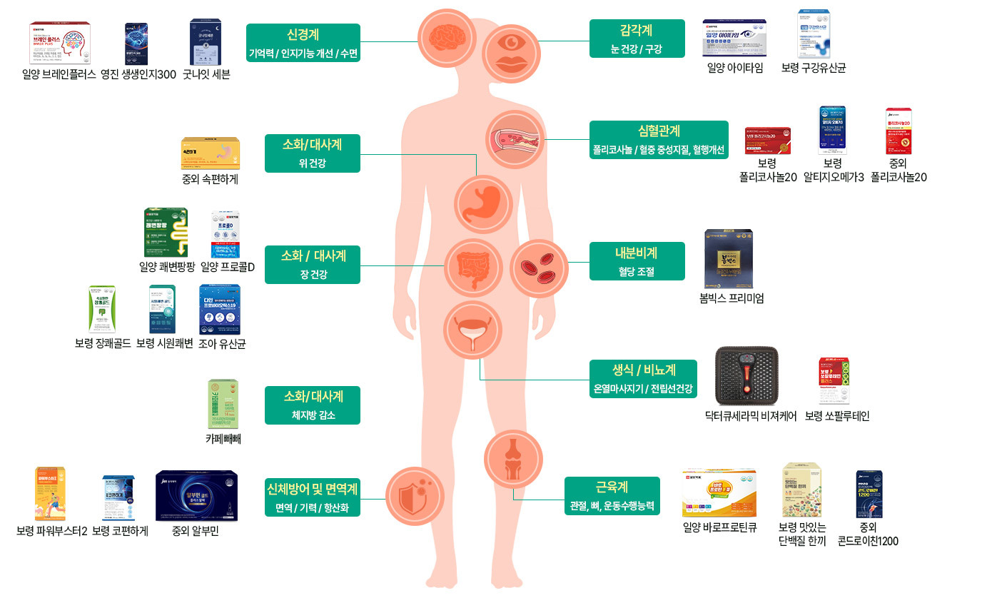 ��ǥ ���ξ�