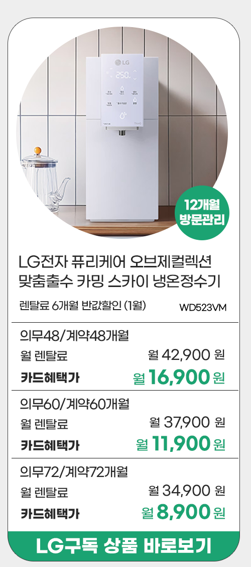 LG전자 프로모션