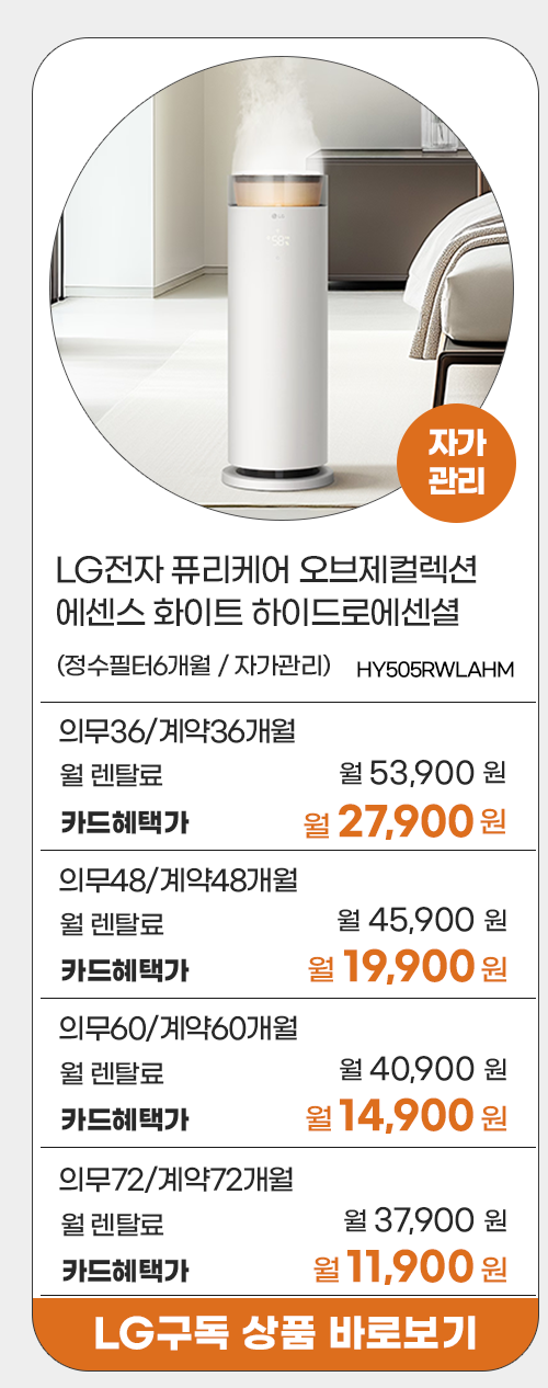 LG전자 프로모션