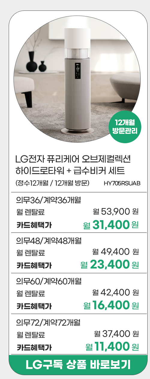 LG전자 프로모션