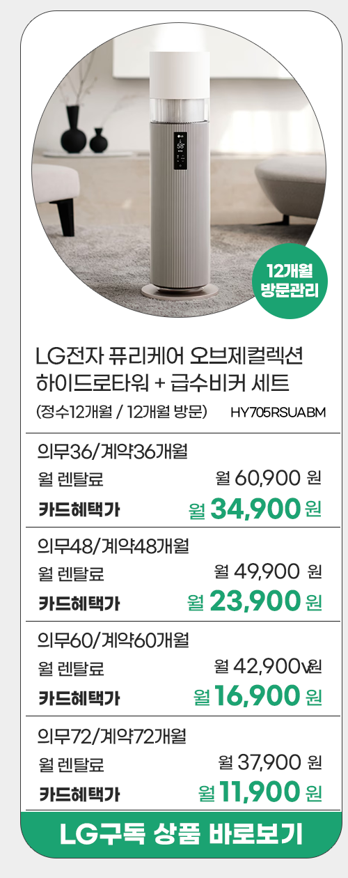 LG전자 프로모션