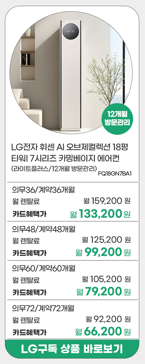 LG전자 프로모션