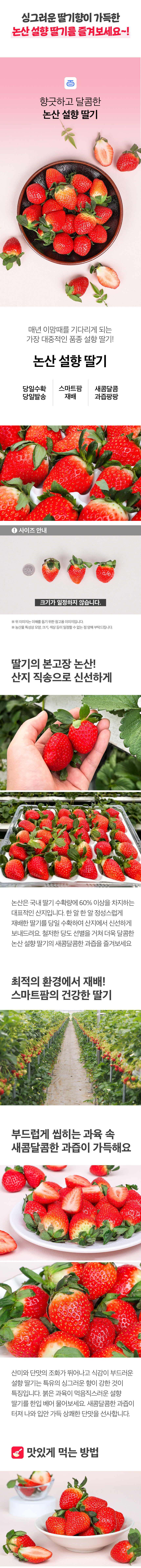 [아침애딴] 논산 설향 딸기 700g 특품(20-30구)