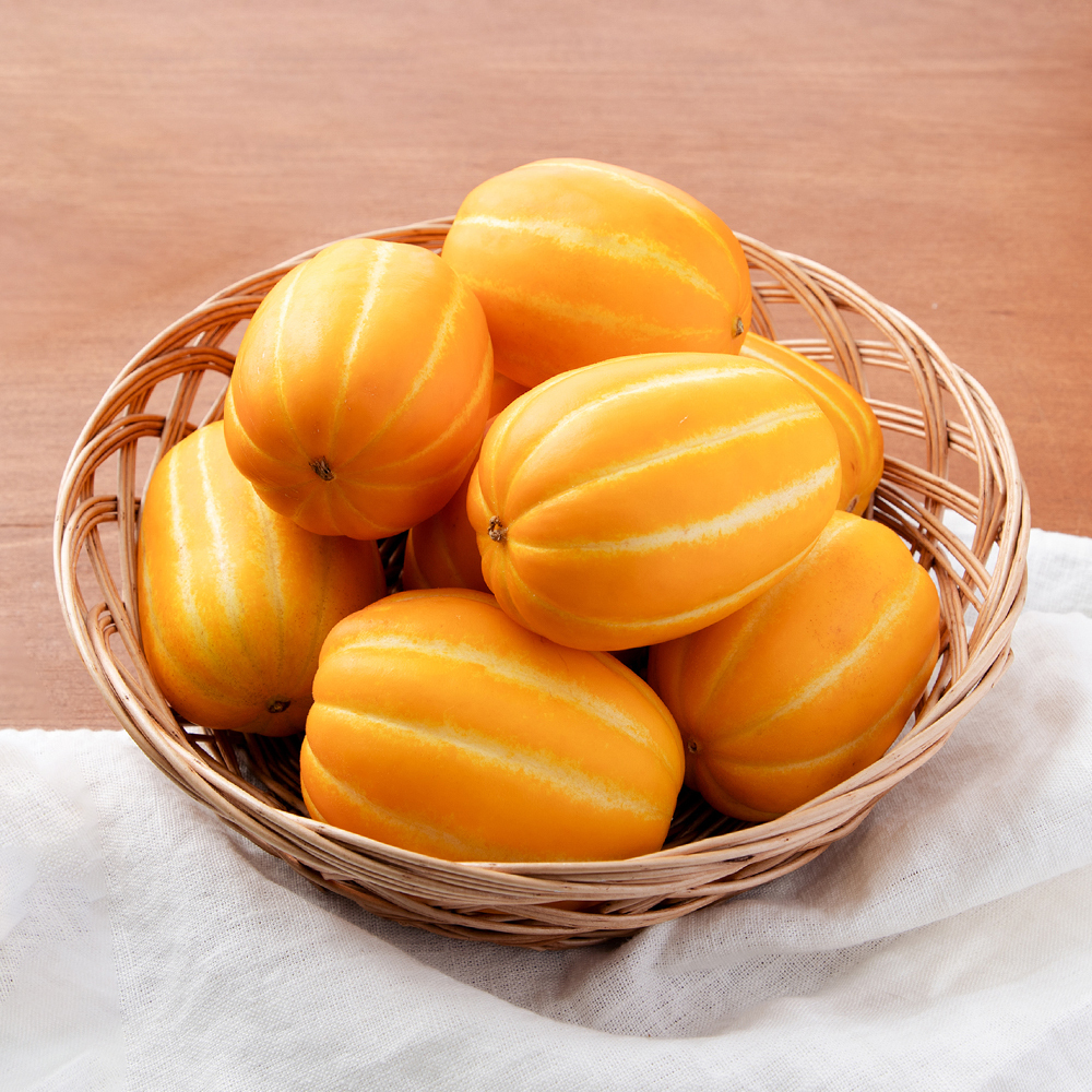 ★단독★ [아침애딴] 성주참외 가정용 흠과 로열중과 대과 중소과 랜덤과