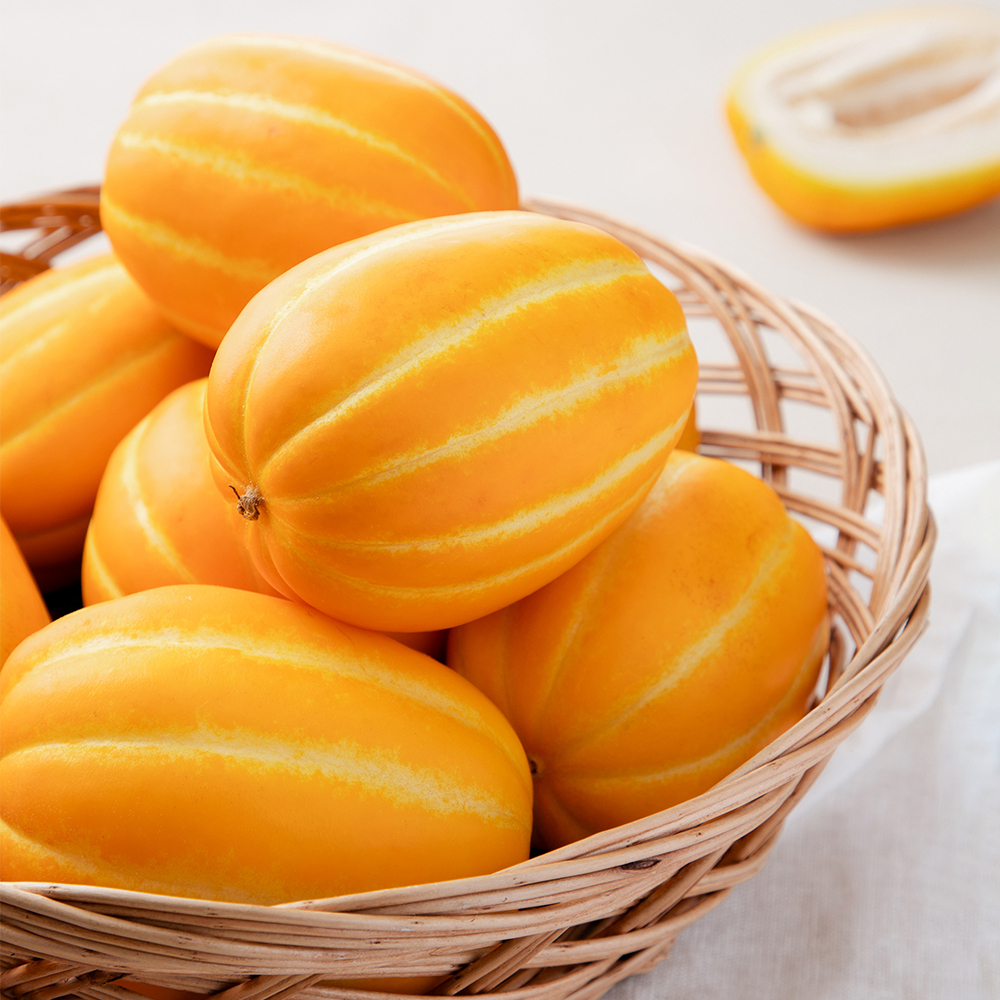 ★단독★ [아침애딴] 성주참외 가정용 흠과 로열중과 대과 중소과 랜덤과