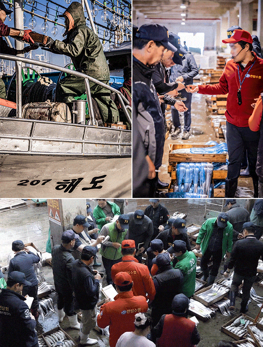JEJUUGA8_16F.gif