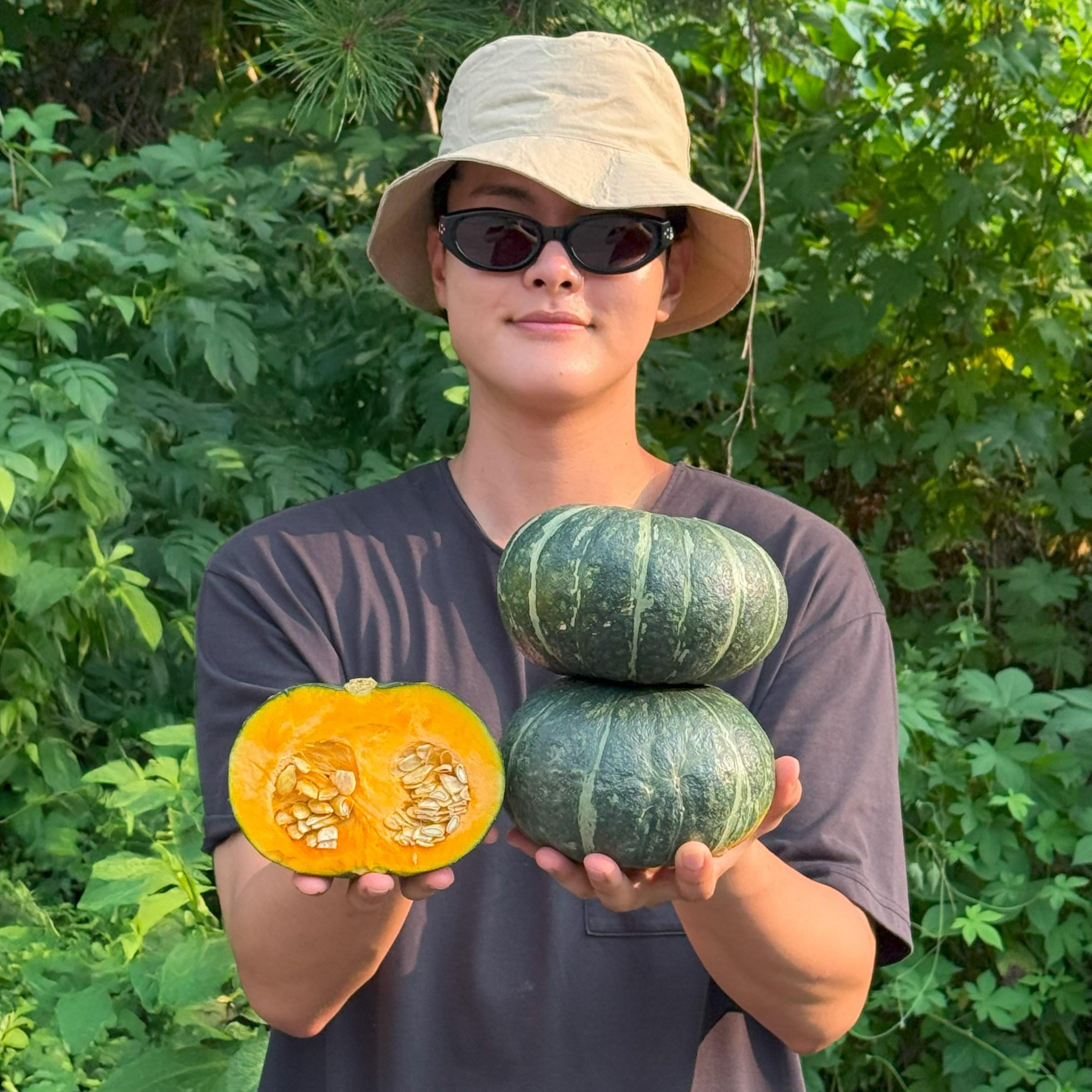 [농진사] 건강을 담은 단호박 2kg 5kg 10kg(국내산)