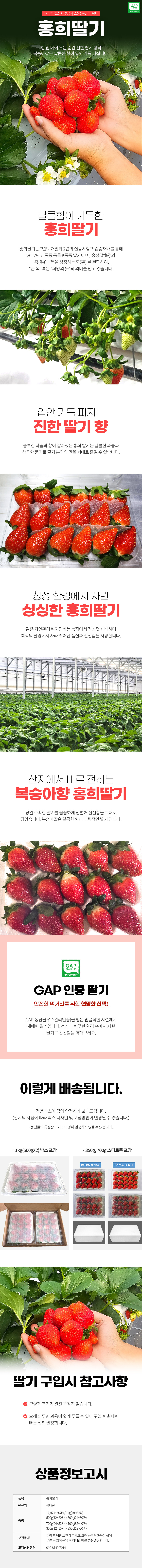 [테이블리] 진한 딸기 향이 살아있는 맛 홍희딸기 350g 500g 700g 1kg