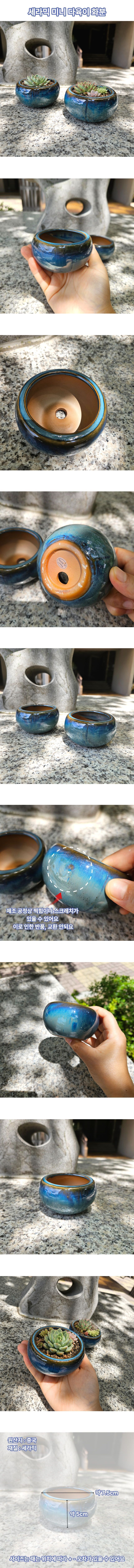 bluehwabun.jpg