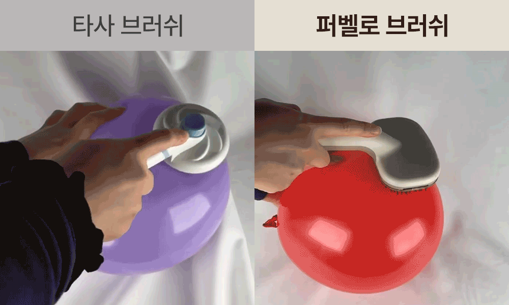 6.gif