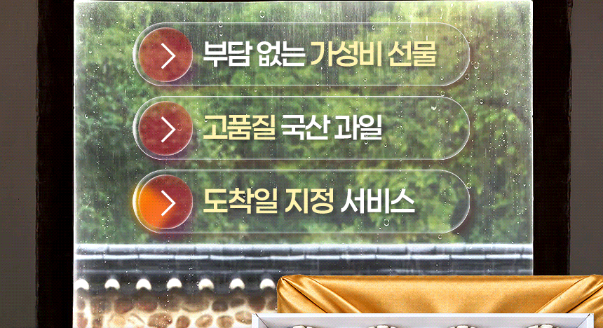page_11.gif