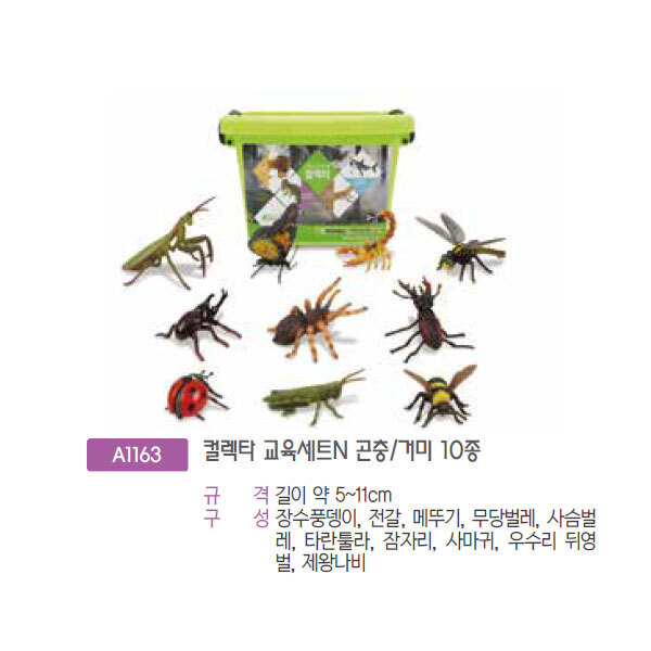 단종A1163 컬렉타교육세트N곤충/거미10종