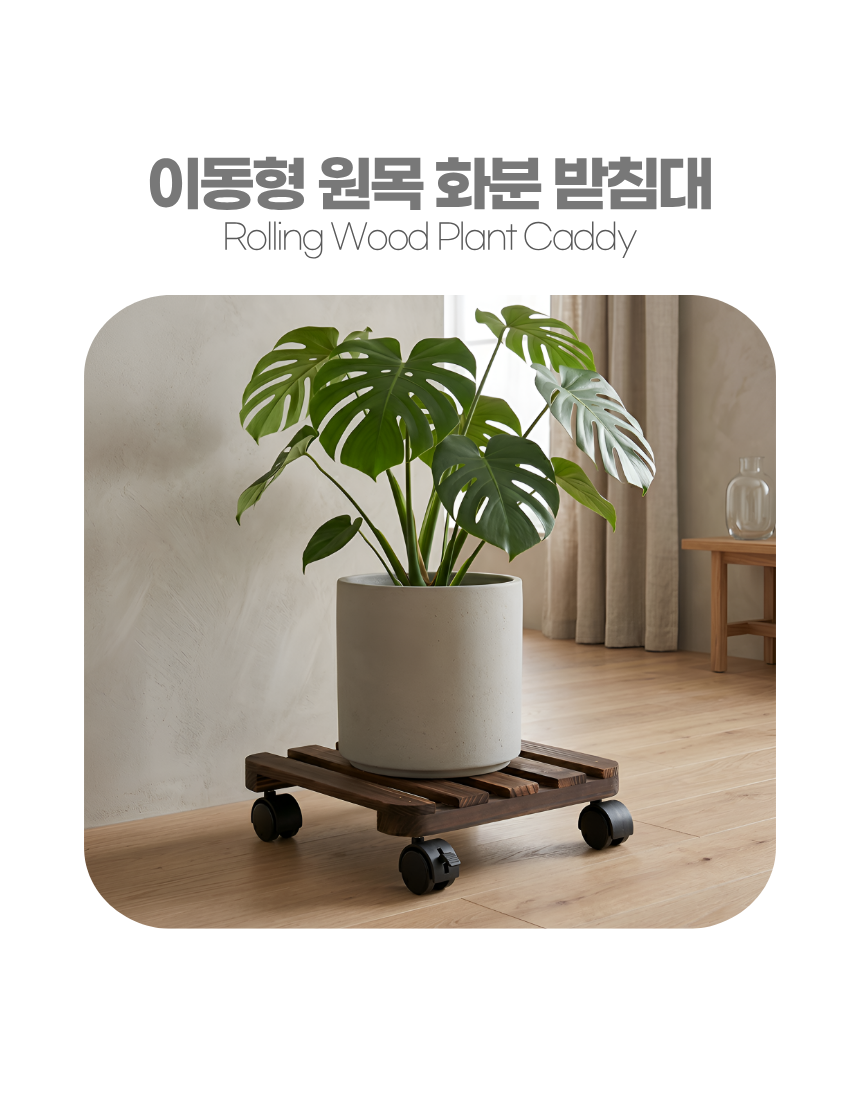 상세5 - Monstera 연출
