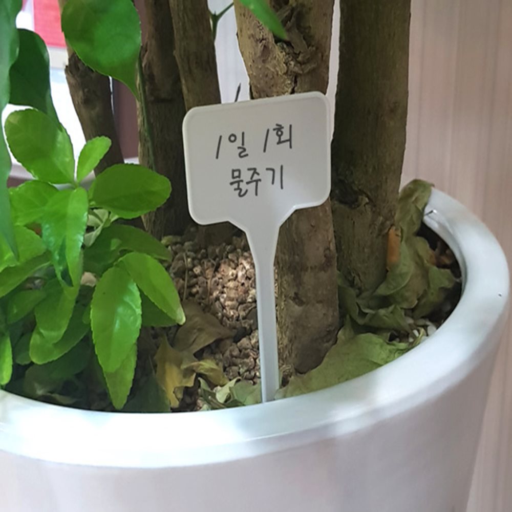 작물 싸인 화분데코이름표꽂이 화분팻말꽂이 화분데코소품