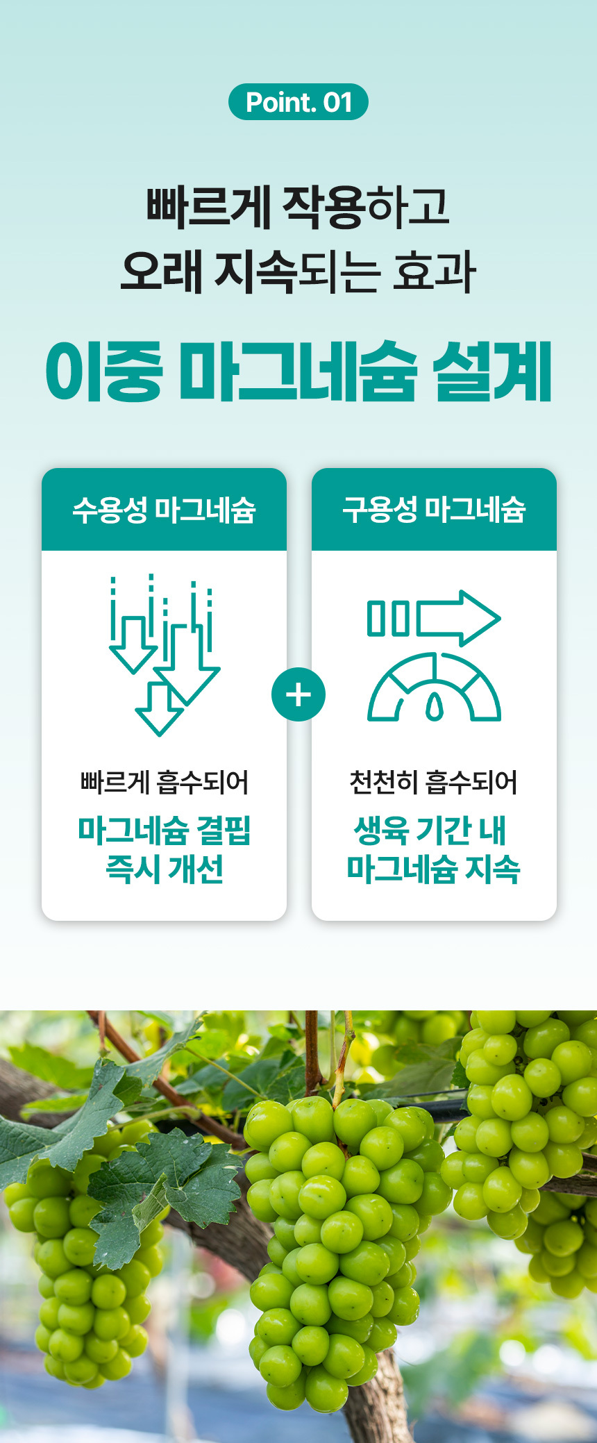 그로우 황산마그네슘 20kg