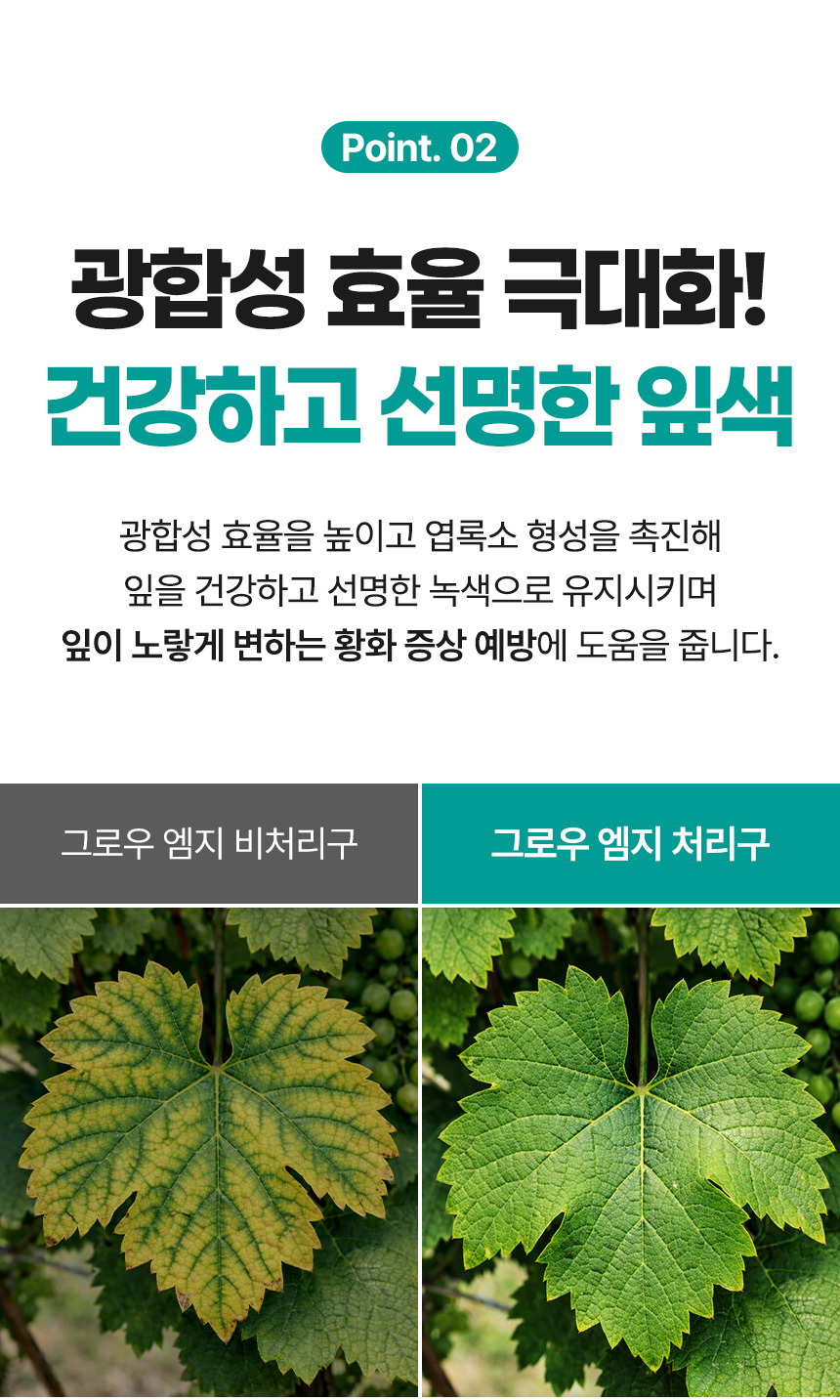 그로우 황산마그네슘 20kg